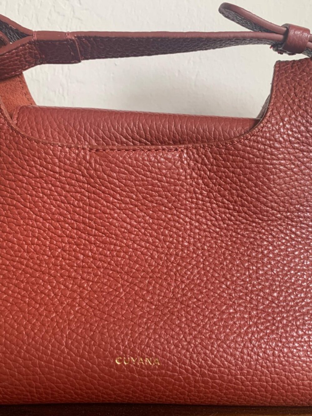 Cuyana Mini Double Loop Bag (Rust) - Picture 3 of 7